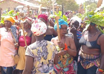 Kankan : des femmes manifestent contre les dégâts liés à la transhumance