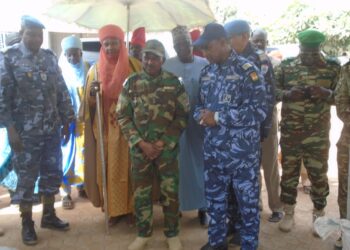 Niger : importantes saisies des douanes à Zinder