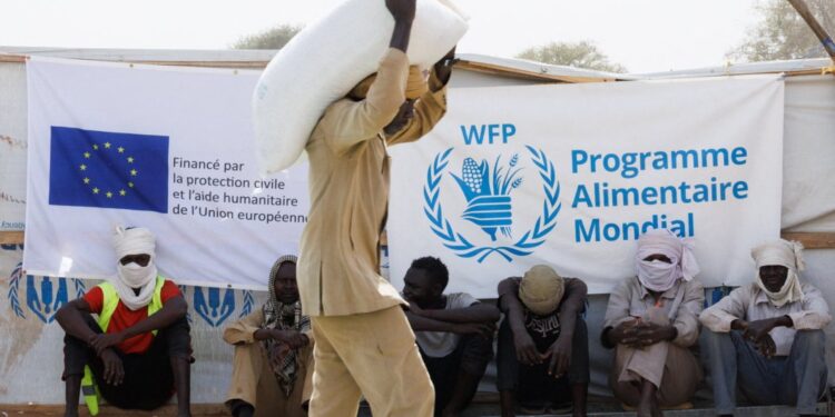 ONU : plus de 1 000 humanitaires tués en trois ans, un niveau « alarmant »