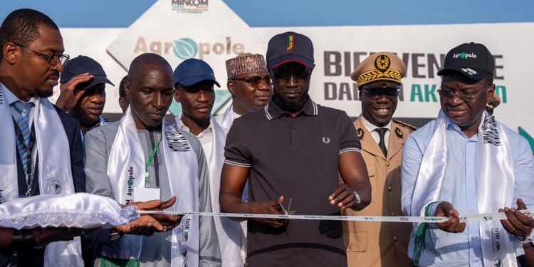 Sénégal : Bassirou Diomaye Faye inaugure un parc agro-industriel à Kolda