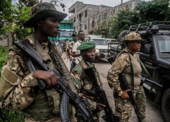 Rwanda : 214 ex-rebelles réinsérés dans la vie civile