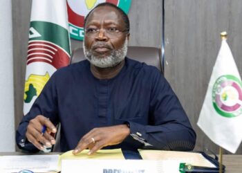 Série d’attaques au Mali : la CEDEAO condamne