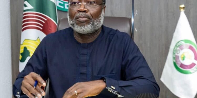 Série d’attaques au Mali : la CEDEAO condamne