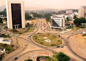 Cameroun : le poste de vice-président validé