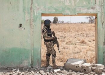 Nigeria : nouvelles frappes contre l’État islamique