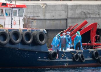 France : une passagère d’un bateau de croisière testée positive à l’hantavirus