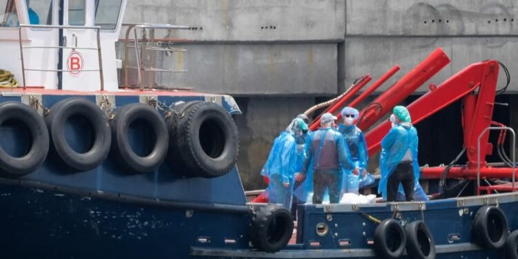 France : une passagère d’un bateau de croisière testée positive à l’hantavirus