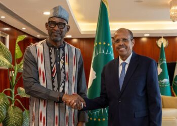 Addis-Abeba : le Mali et l’Union africaine tentent de resserrer le dialogue sur la crise sécuritaire au Sahel