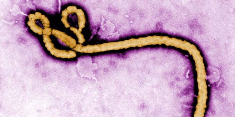 RDC : l’épidémie d’Ebola progresse, plus de 80 morts