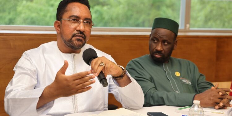 Mali : les préoccupations de la diaspora au cœur d’une rencontre à Washington