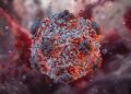 Hantavirus : plusieurs morts sur un bateau de croisière, l’OMS sous haute surveillance