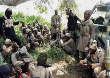 Nigeria : lourdes pertes pour l’ISWAP après des frappes avec les États-Unis