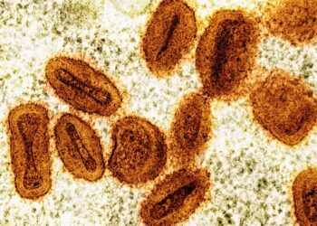Deux virologues inculpés aux Etats-Unis pour avoir tenté d&rsquo;importer le virus mpox d&rsquo;Afrique