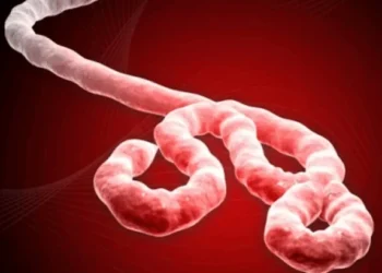 RDC : un essai clinique lancé pour tester un traitement contre la souche Bundibugyo d’Ebola