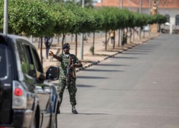 Guinée-Bissau : la CEDEAO face au procès de son impuissance