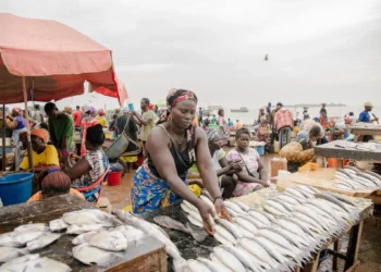 Guinée-Bissau : malgré la baisse annoncée, le poisson reste hors de portée de nombreux ménages
