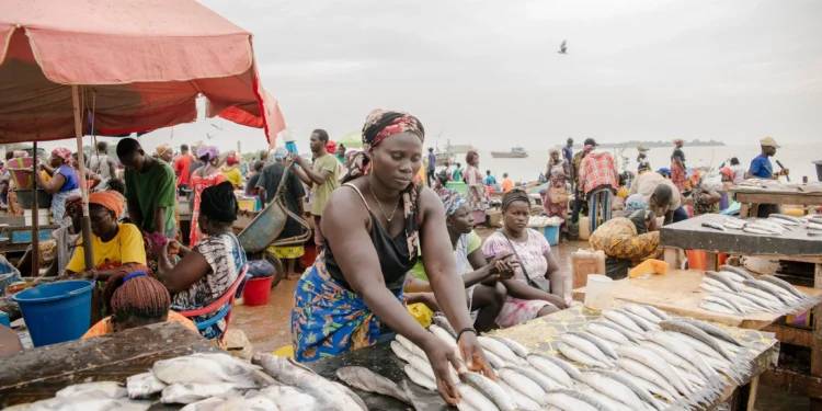 Guinée-Bissau : malgré la baisse annoncée, le poisson reste hors de portée de nombreux ménages